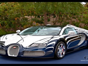 bugatti veyron super sport